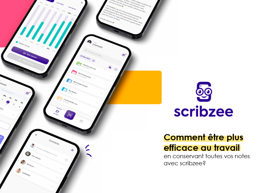 Guide professionnel scribzee.png